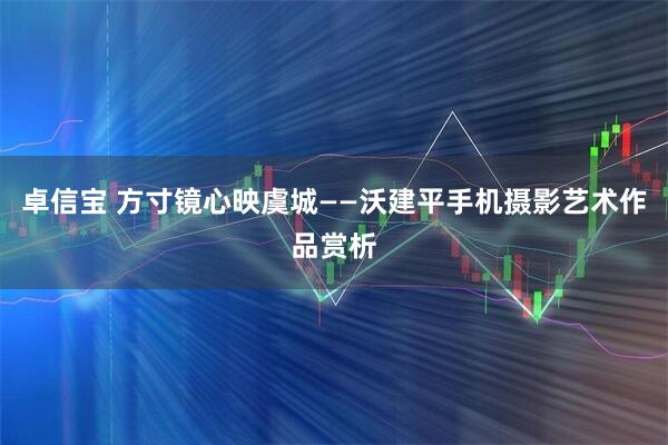 卓信宝 方寸镜心映虞城——沃建平手机摄影艺术作品赏析